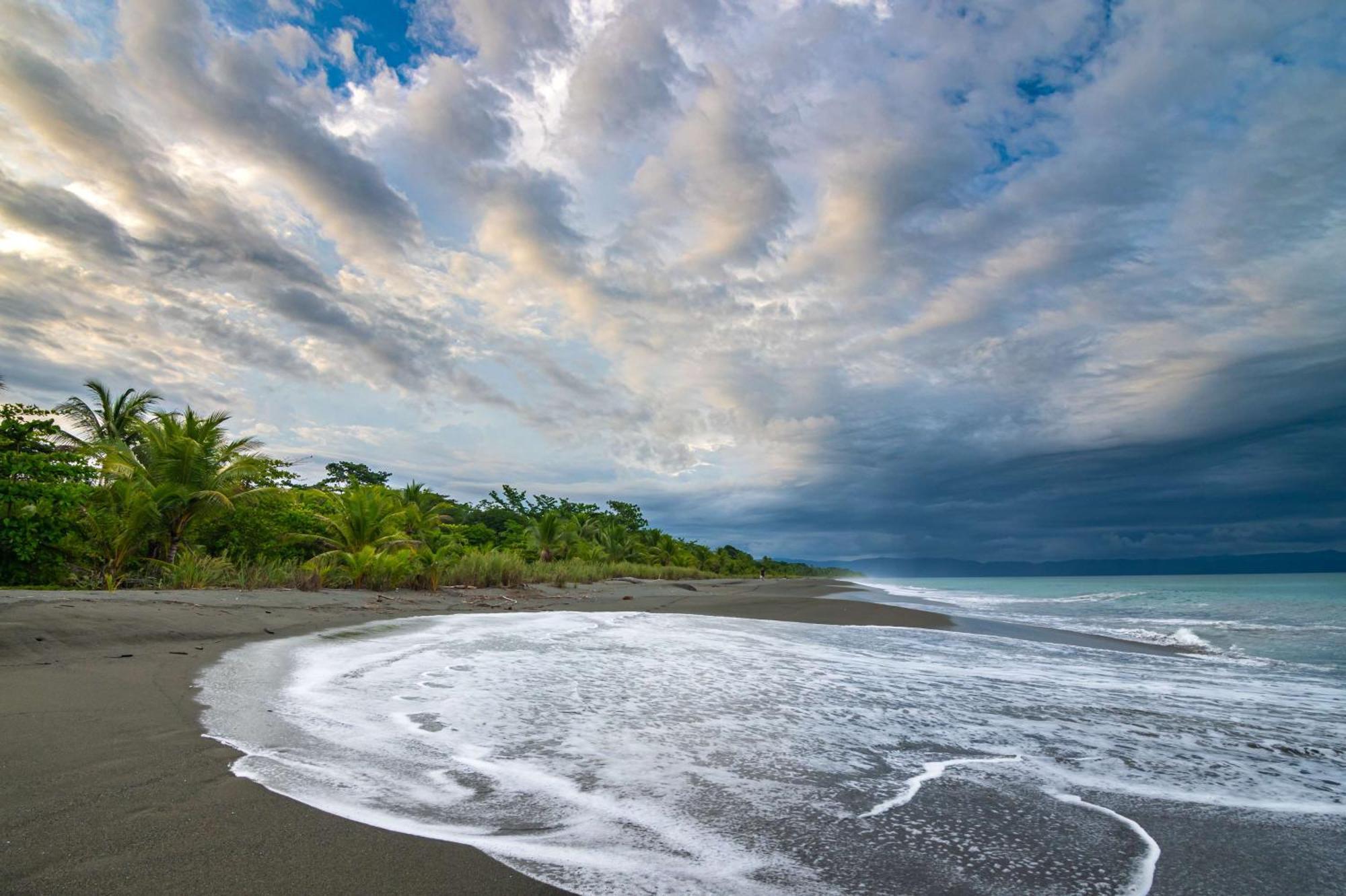 Botanika Osa Peninsula, Curio Collection By Hilton Hotell Puerto Jiménez Exteriör bild